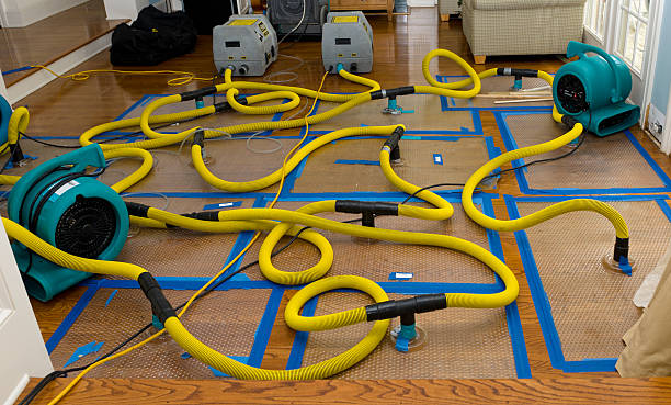 Professional Flood Damage Restoration technician working in Sussex, WI